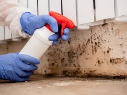 Best Airborne Mold Testing in Gman, IL